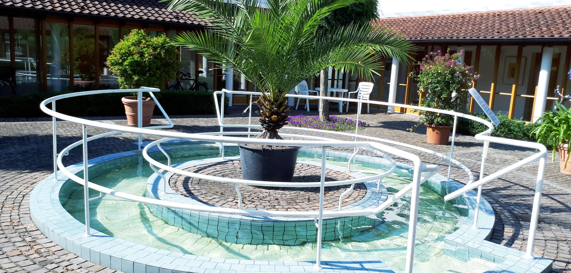 Kneippbecken: Mittig steht eine grüne Palme inmitten eines kreisförmigen Beckens, mit weißem Geländer, dahinter zwei weiße Stühle vor einem Gebäude